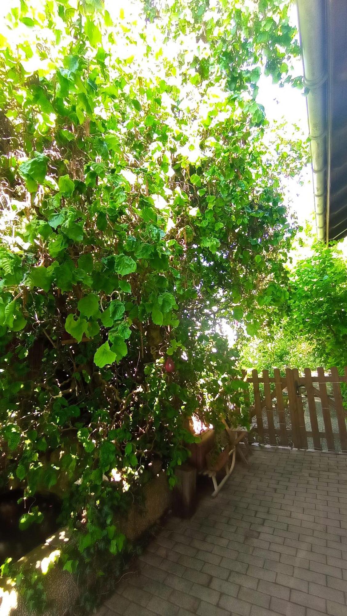 SundhoffenGarden Duplex公寓 外观 照片